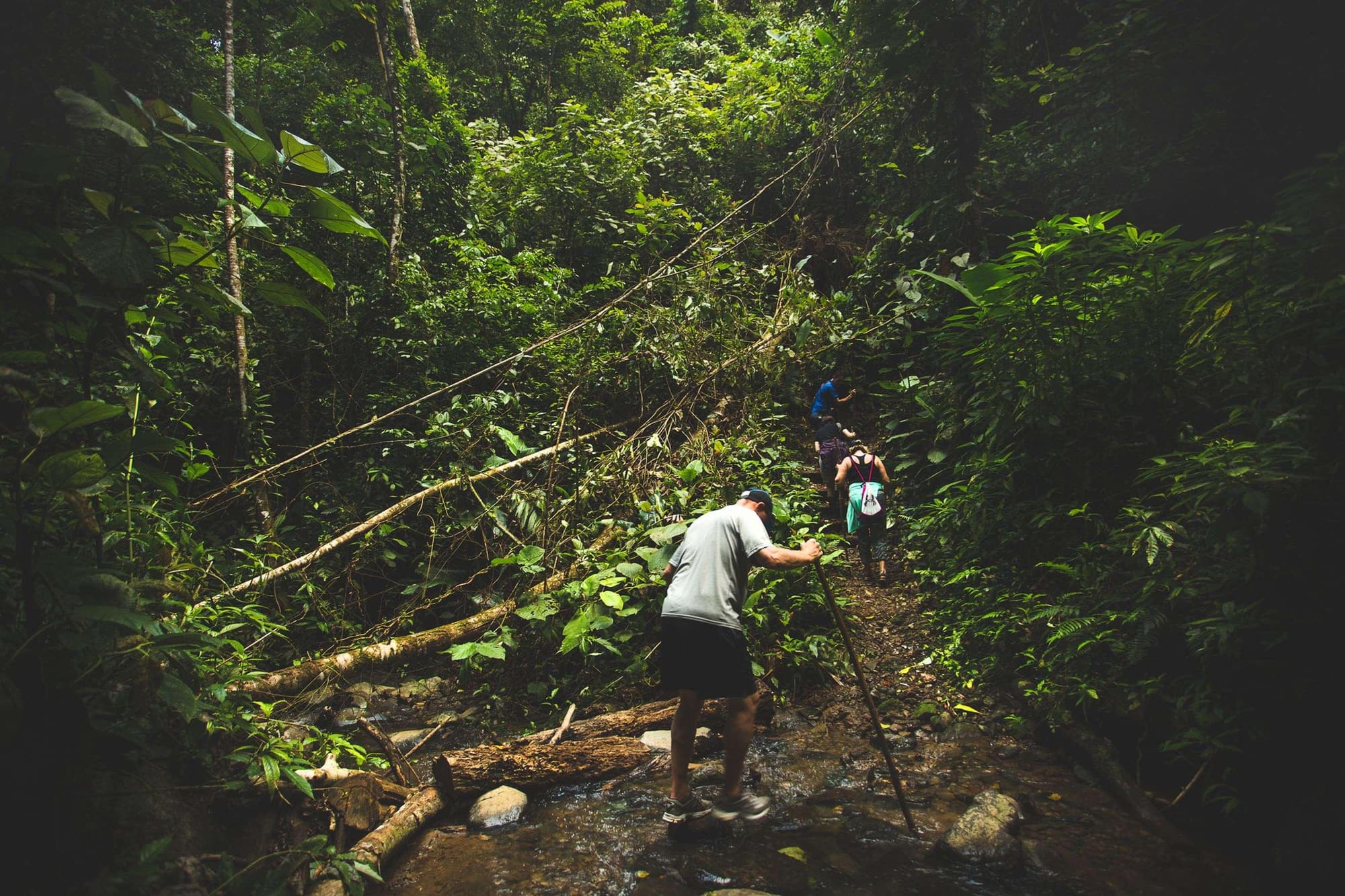 Pacuare Lodge, General view