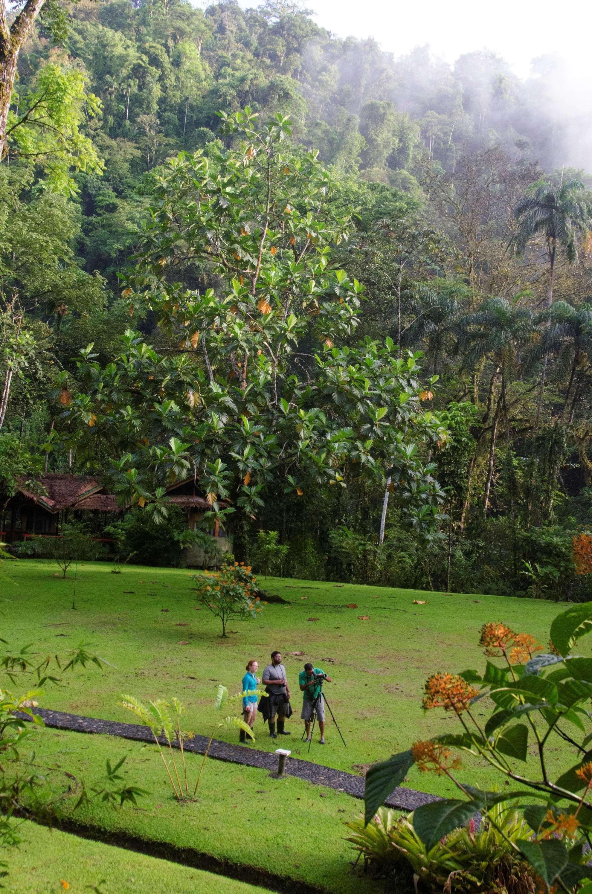 Pacuare Lodge, General view