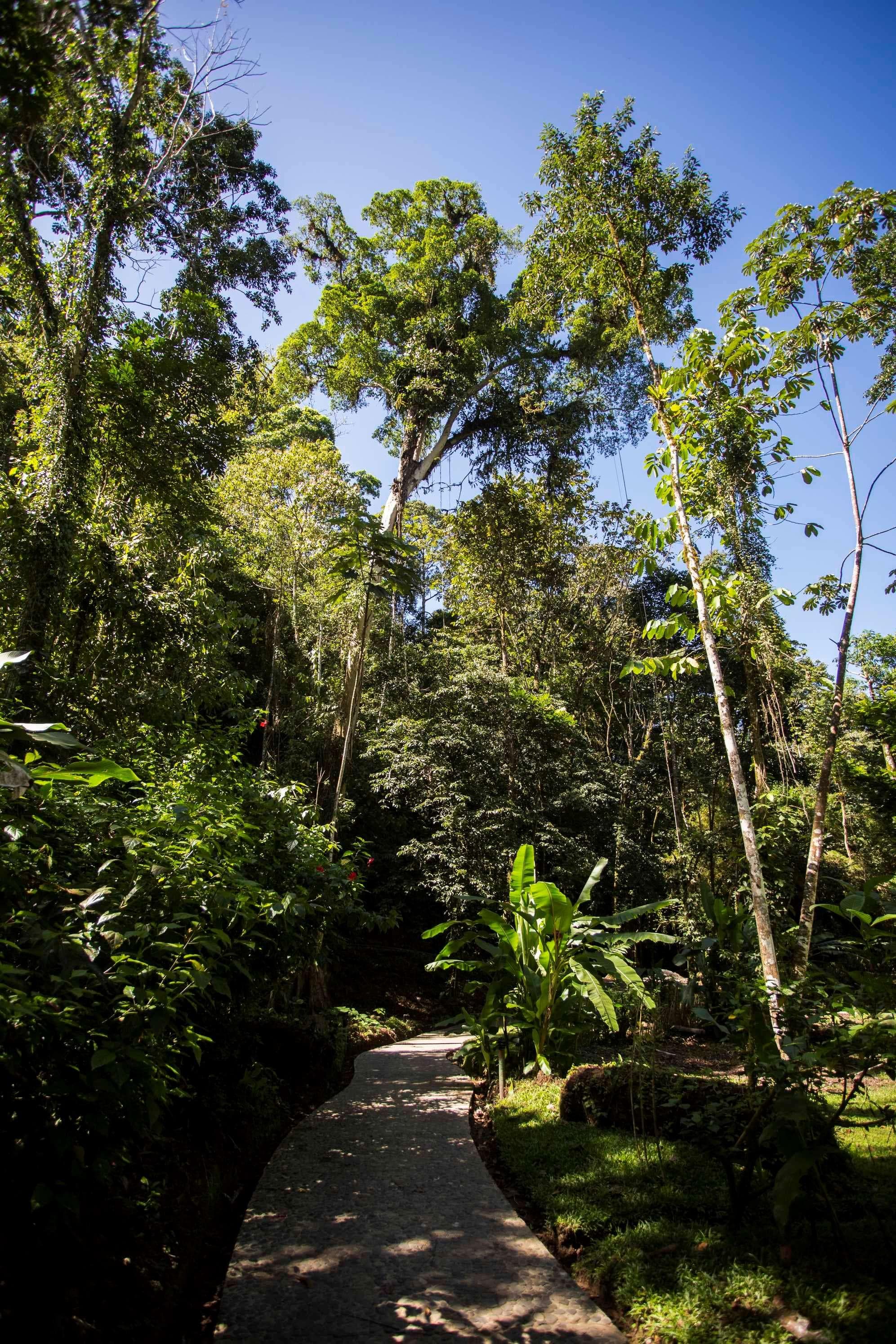 Pacuare Lodge, General view