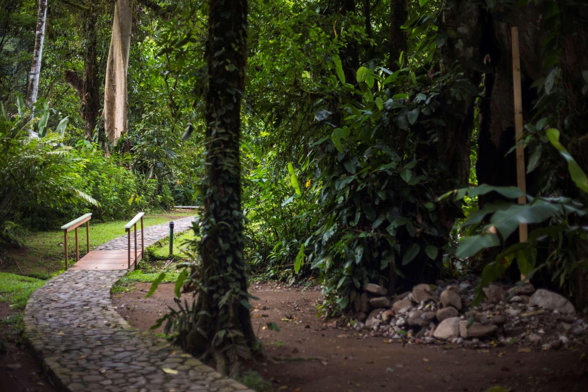 Pacuare Lodge, General view