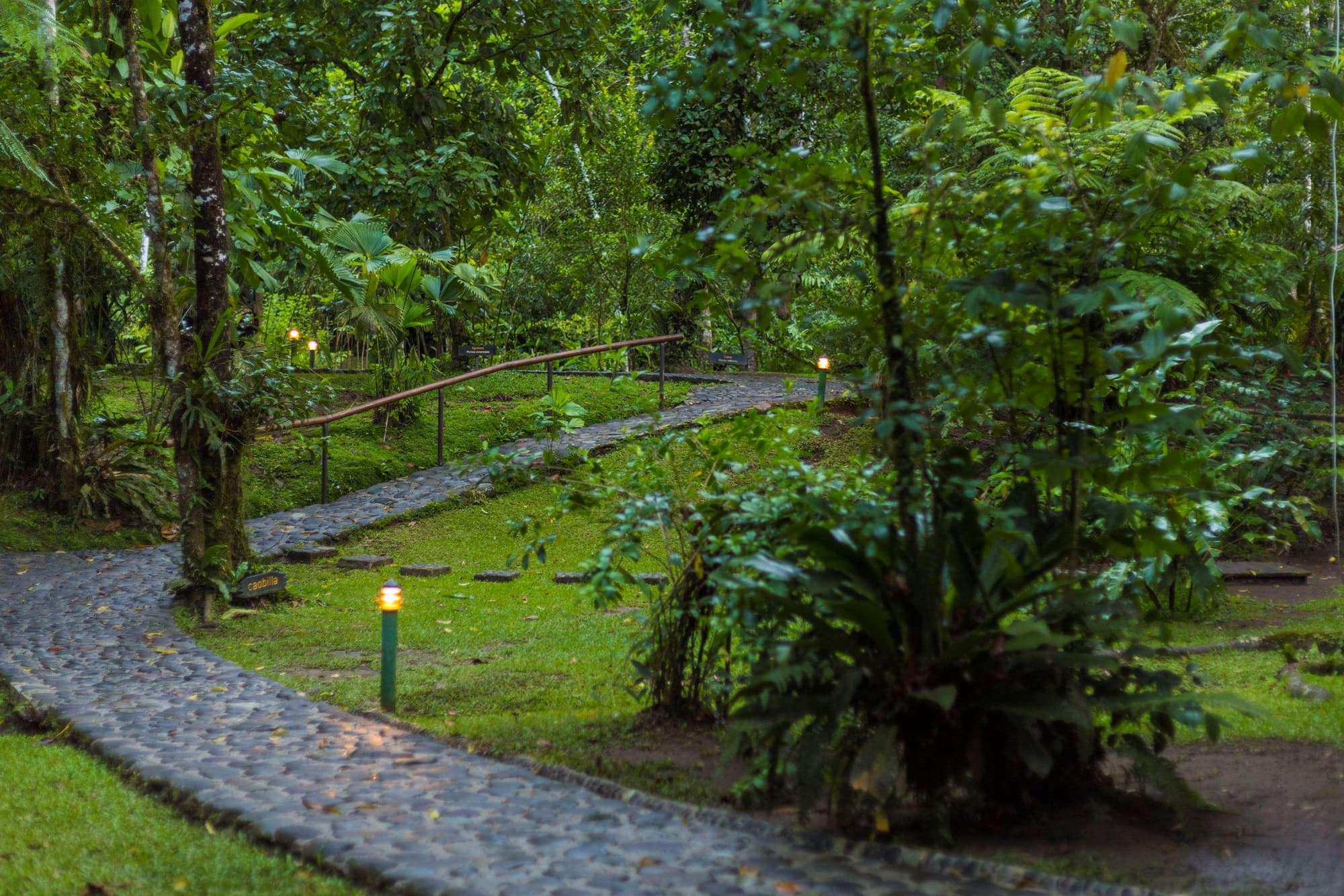 Pacuare Lodge, General view