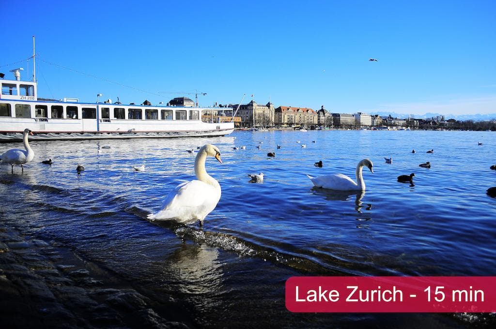 H+ Hotel Zurich, General view