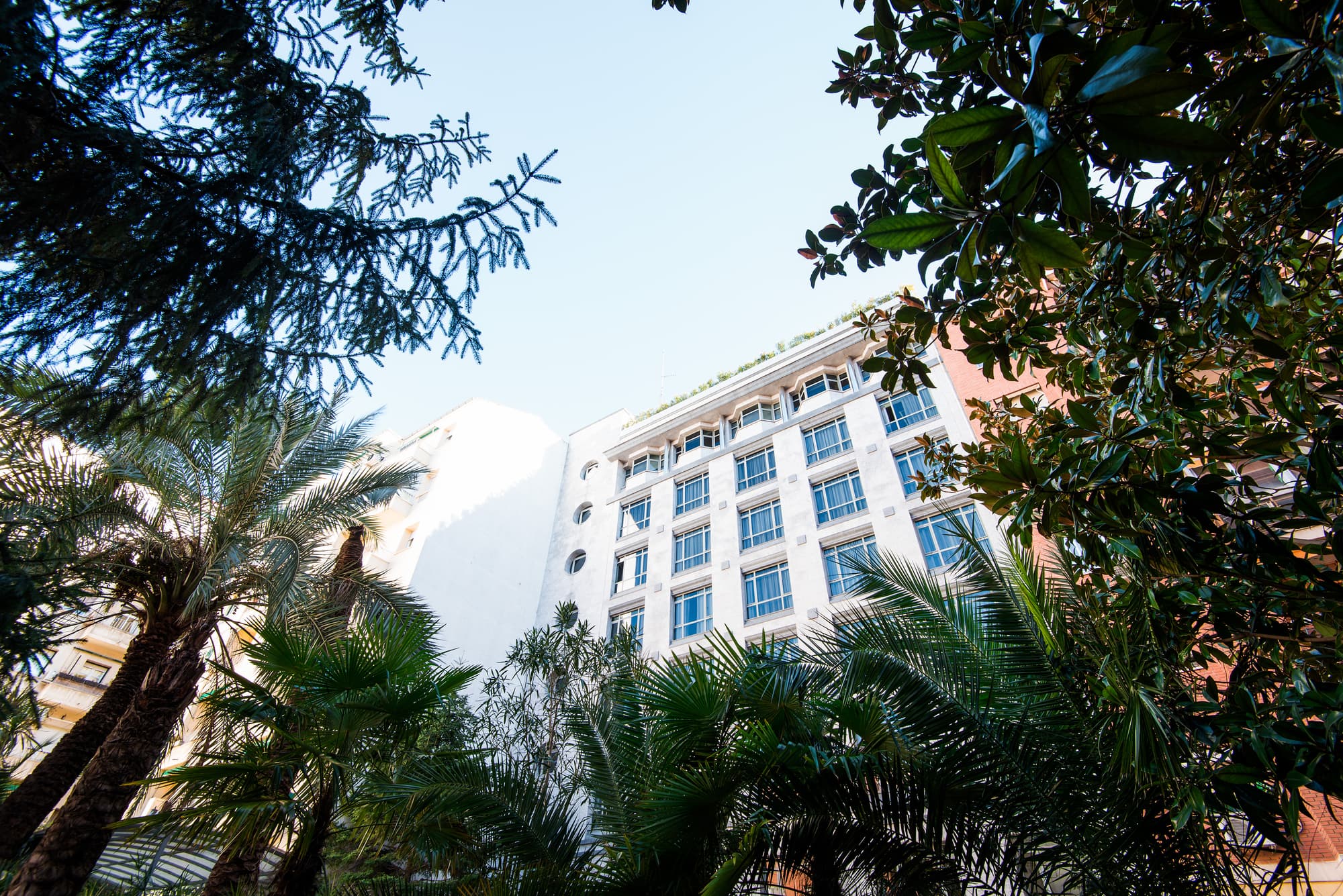 VP Madroño, General view