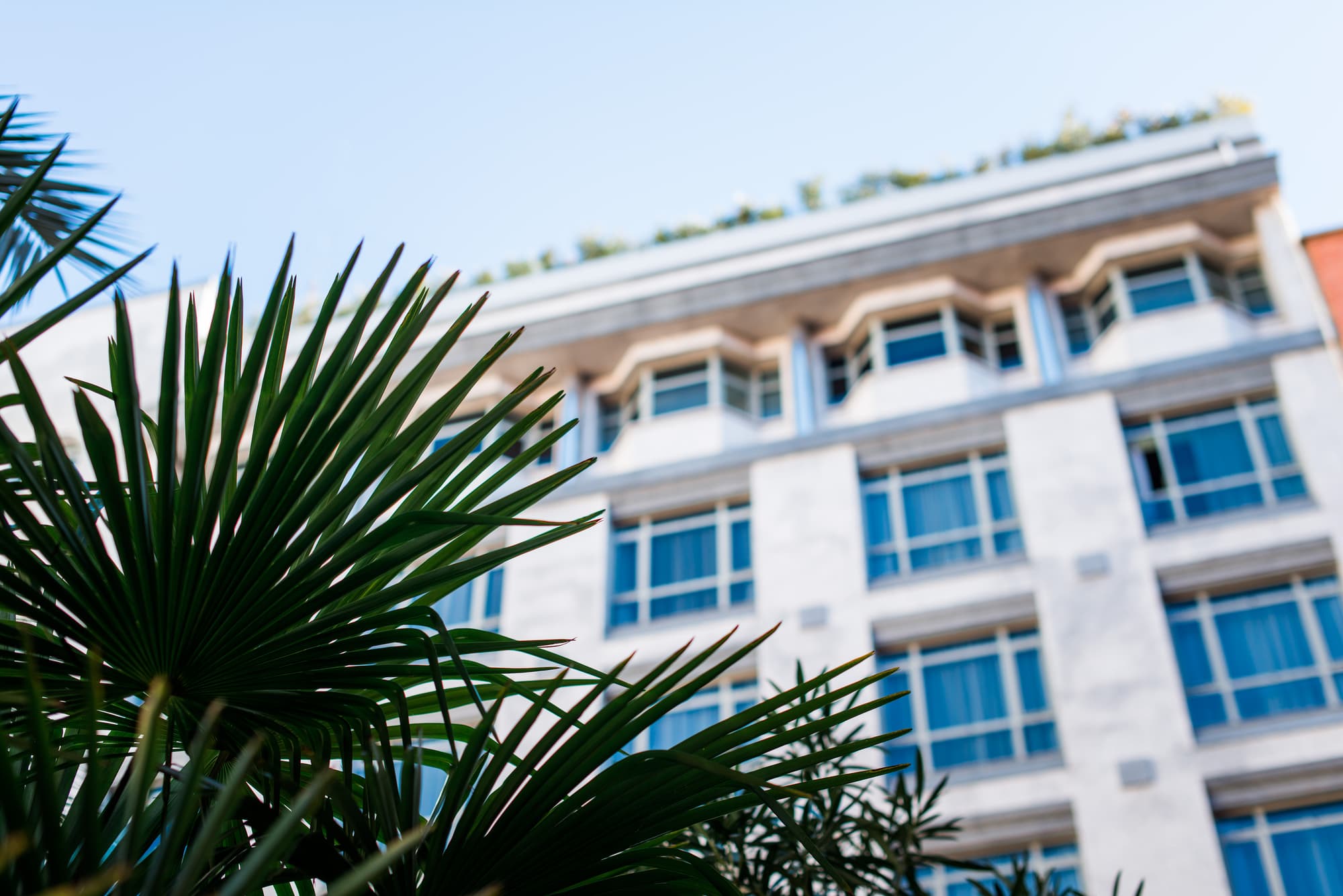 VP Madroño, General view