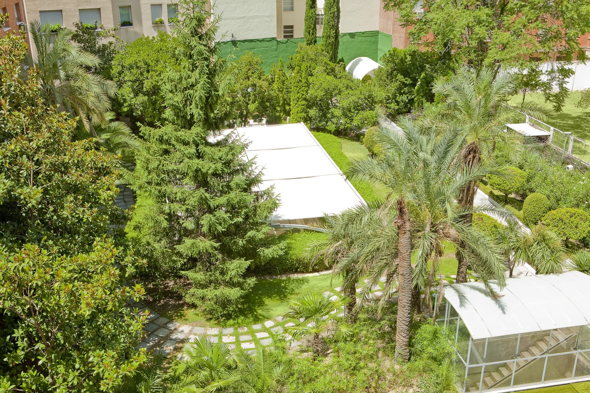 VP Madroño, General view