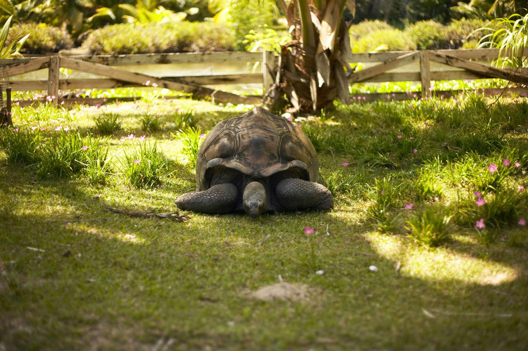 Hilton Seychelles Labriz Resort And Spa, General view