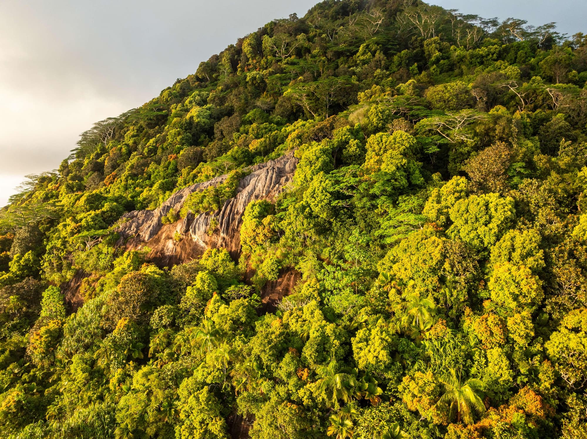 Hilton Seychelles Labriz Resort And Spa, General view