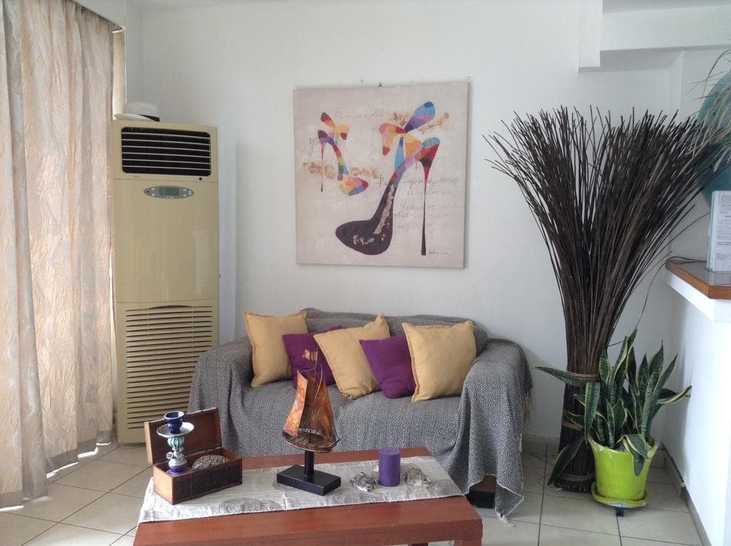 Pasiphae, General view