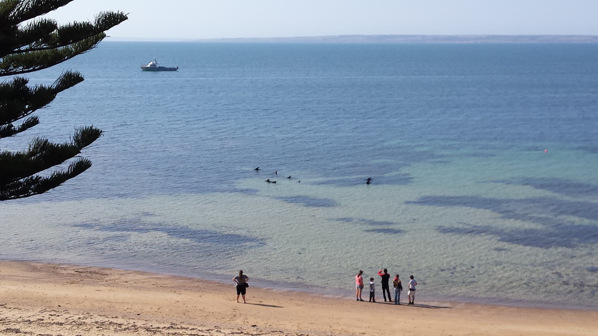 Ozone Hotel Kangaroo Island, Beach