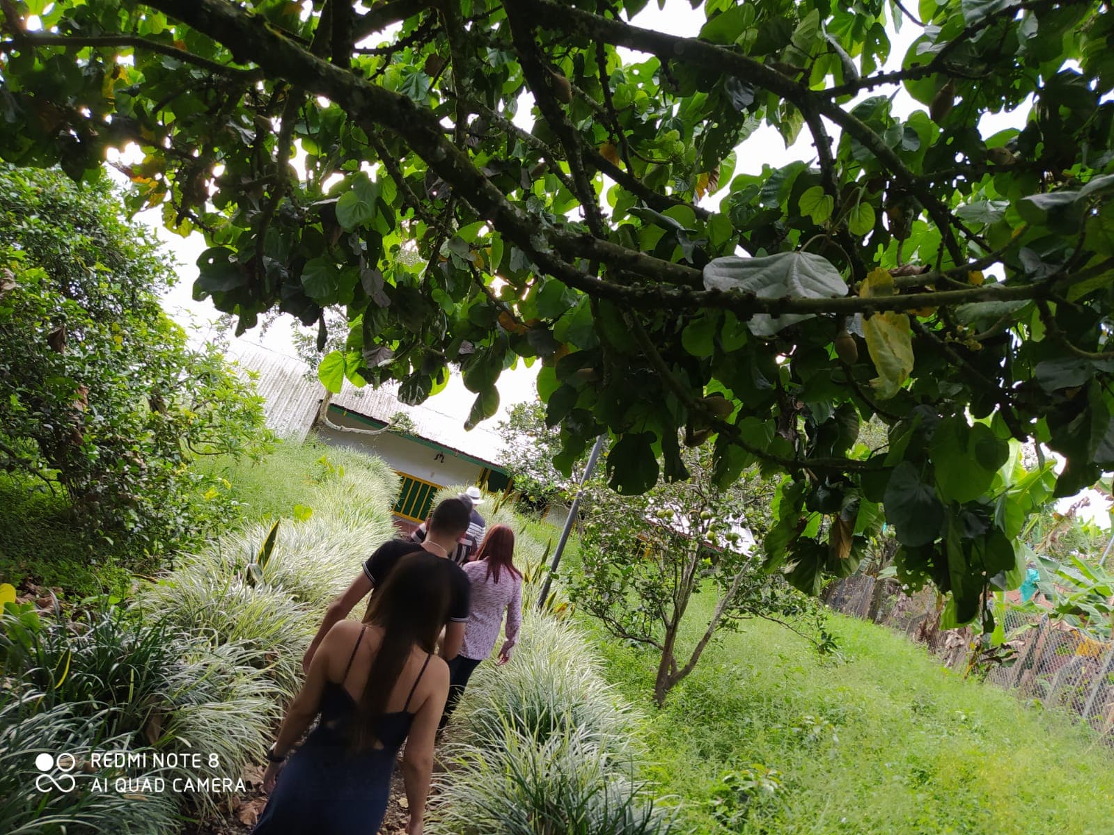 Finca Hotel la Quinta Porra Alejandria, Sports and Entertainment