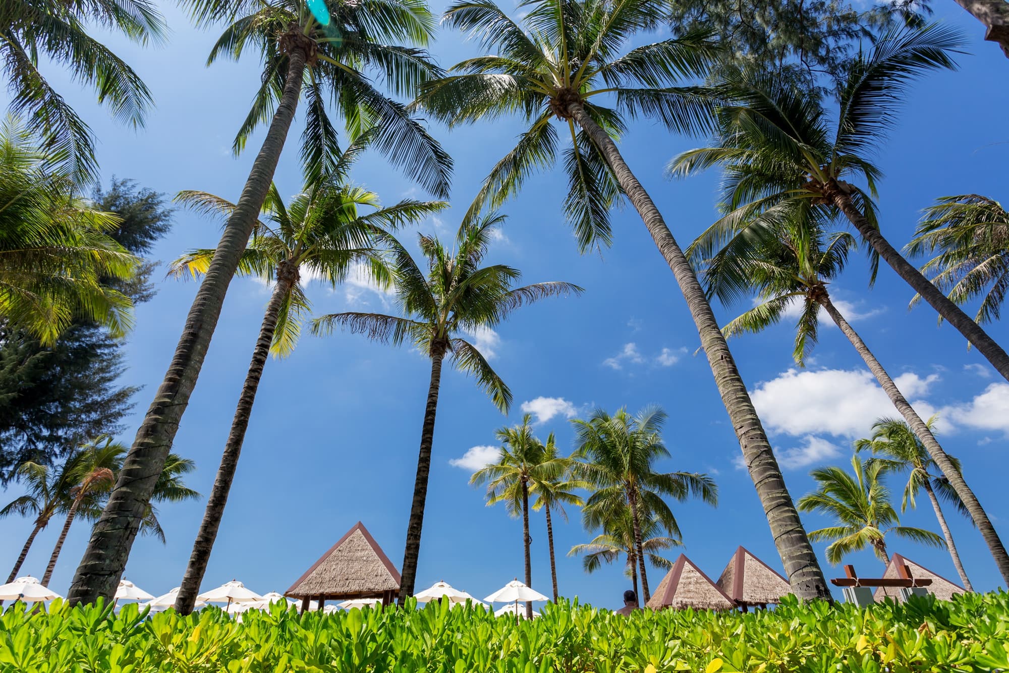 Angsana Laguna Phuket, General view