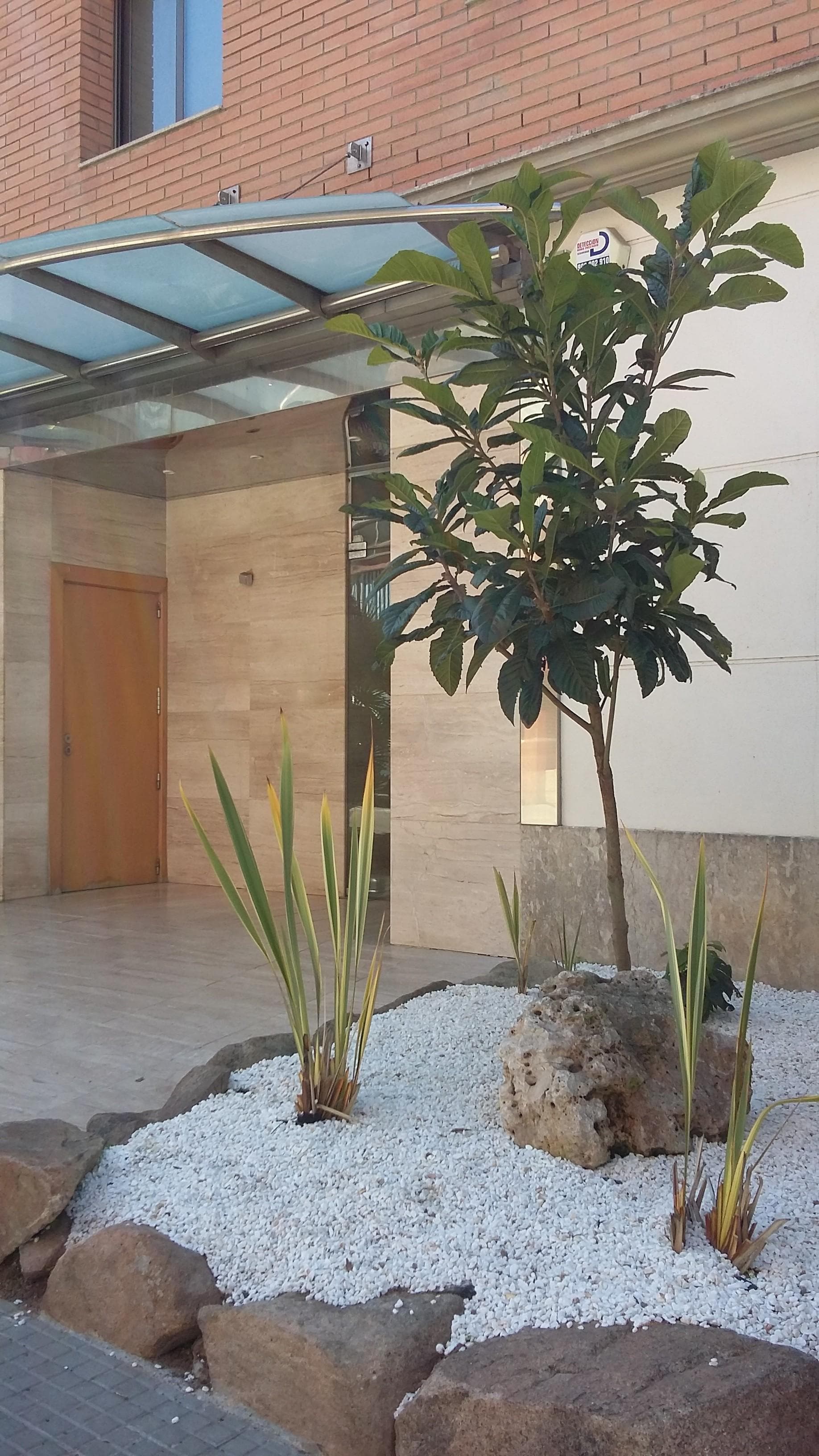 Selvapark Apartamentos, General view