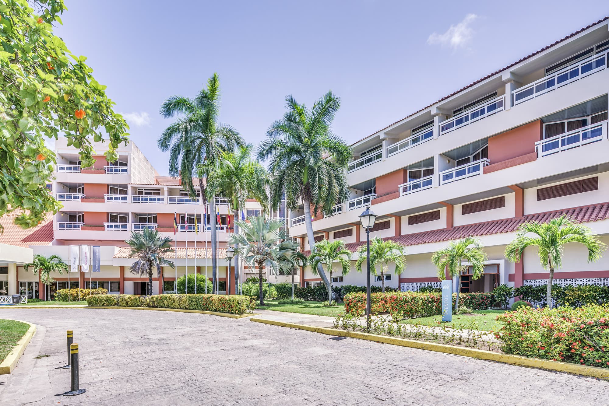 Occidental Arenas Blancas, Terrace