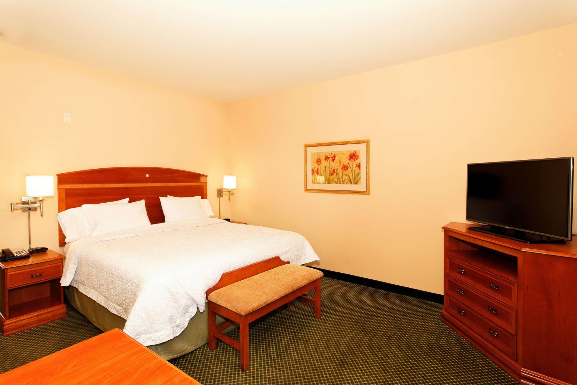 Hampton Inn Montrose, Room