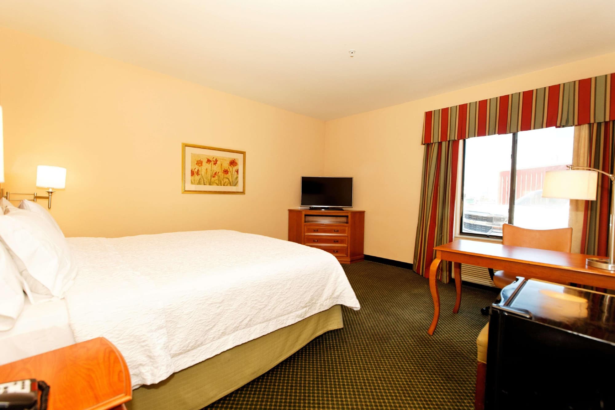 Hampton Inn Montrose, Room