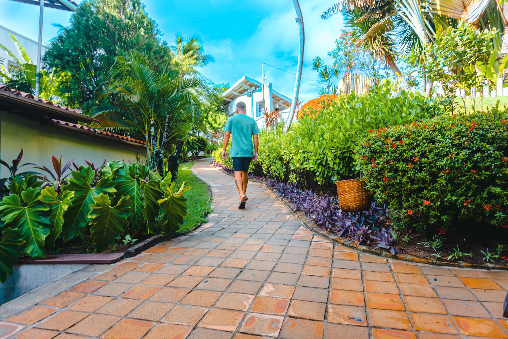 Pipa Atlantico, General view