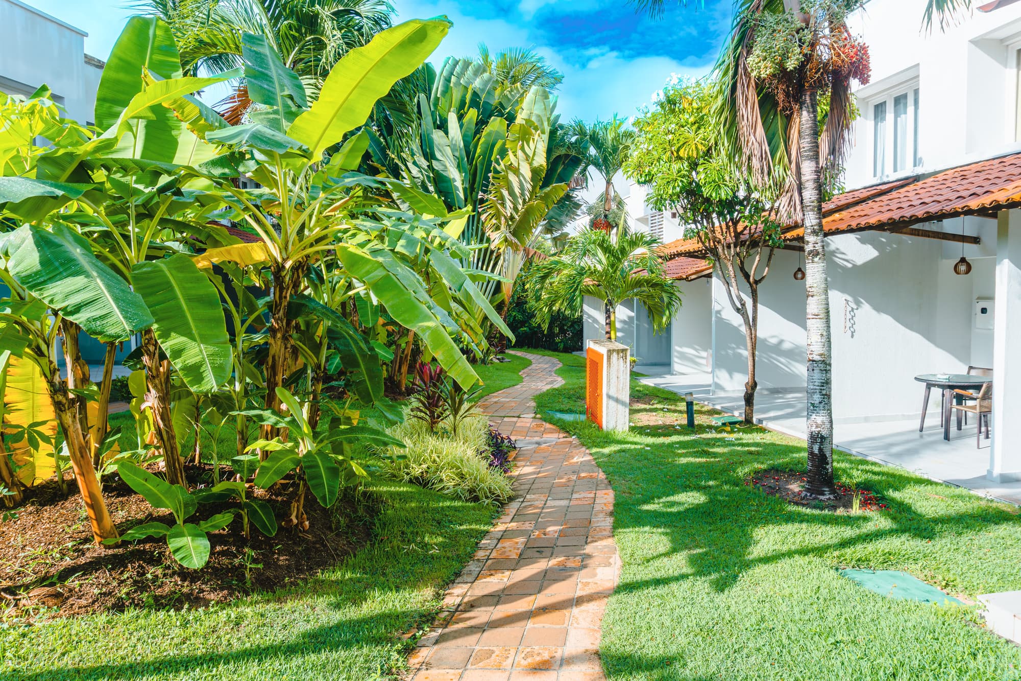 Pipa Atlantico, General view