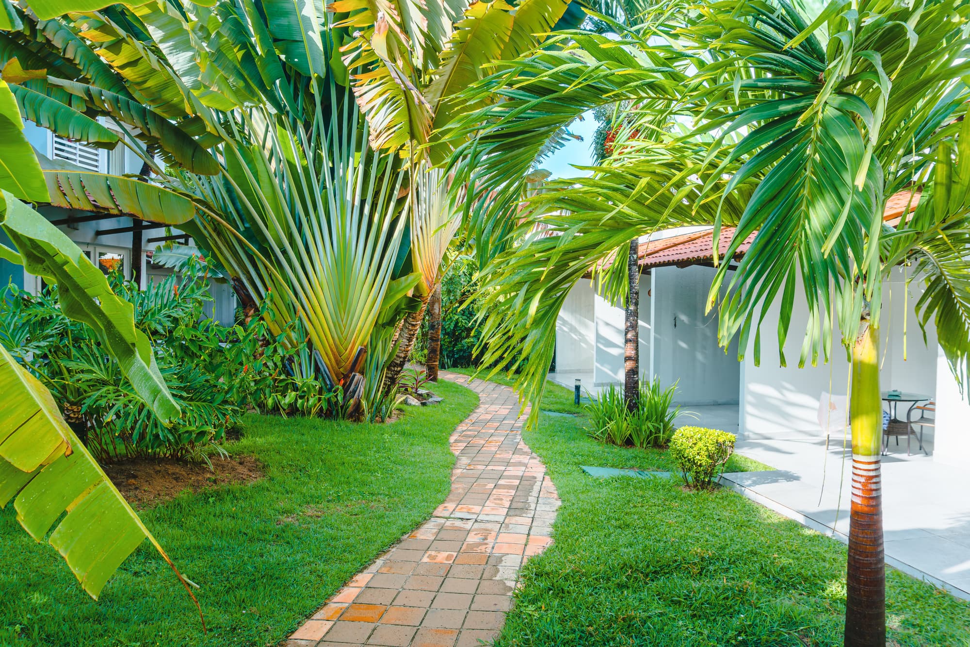 Pipa Atlantico, General view