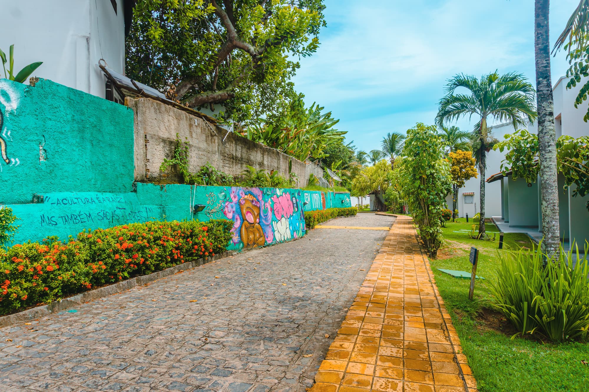 Pipa Atlantico, General view