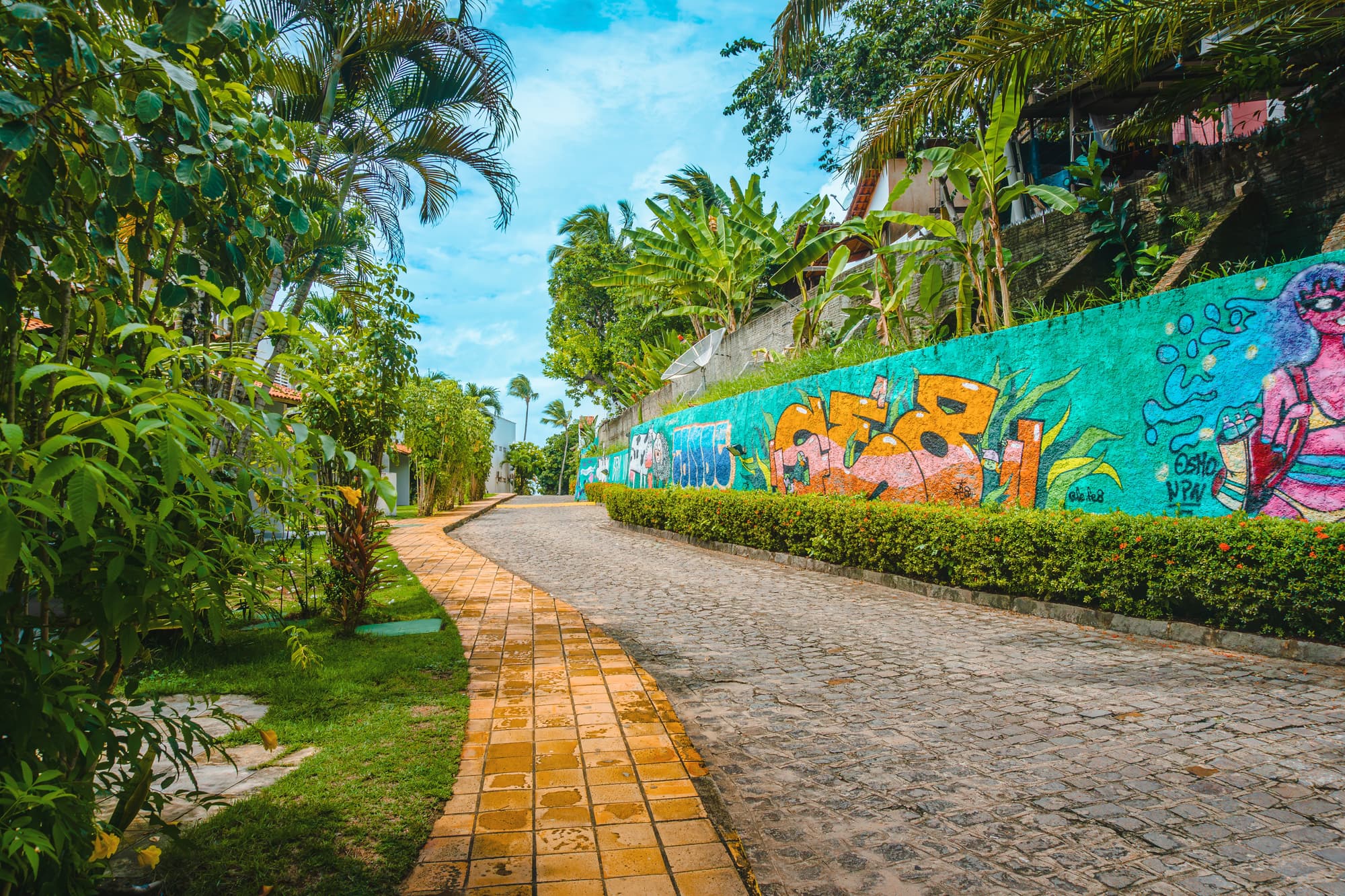 Pipa Atlantico, General view