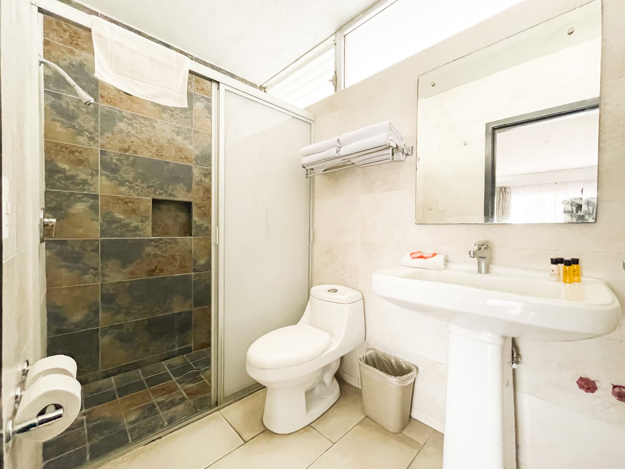 Hotel Expo Plaza Business and Family Guadalajara, Room