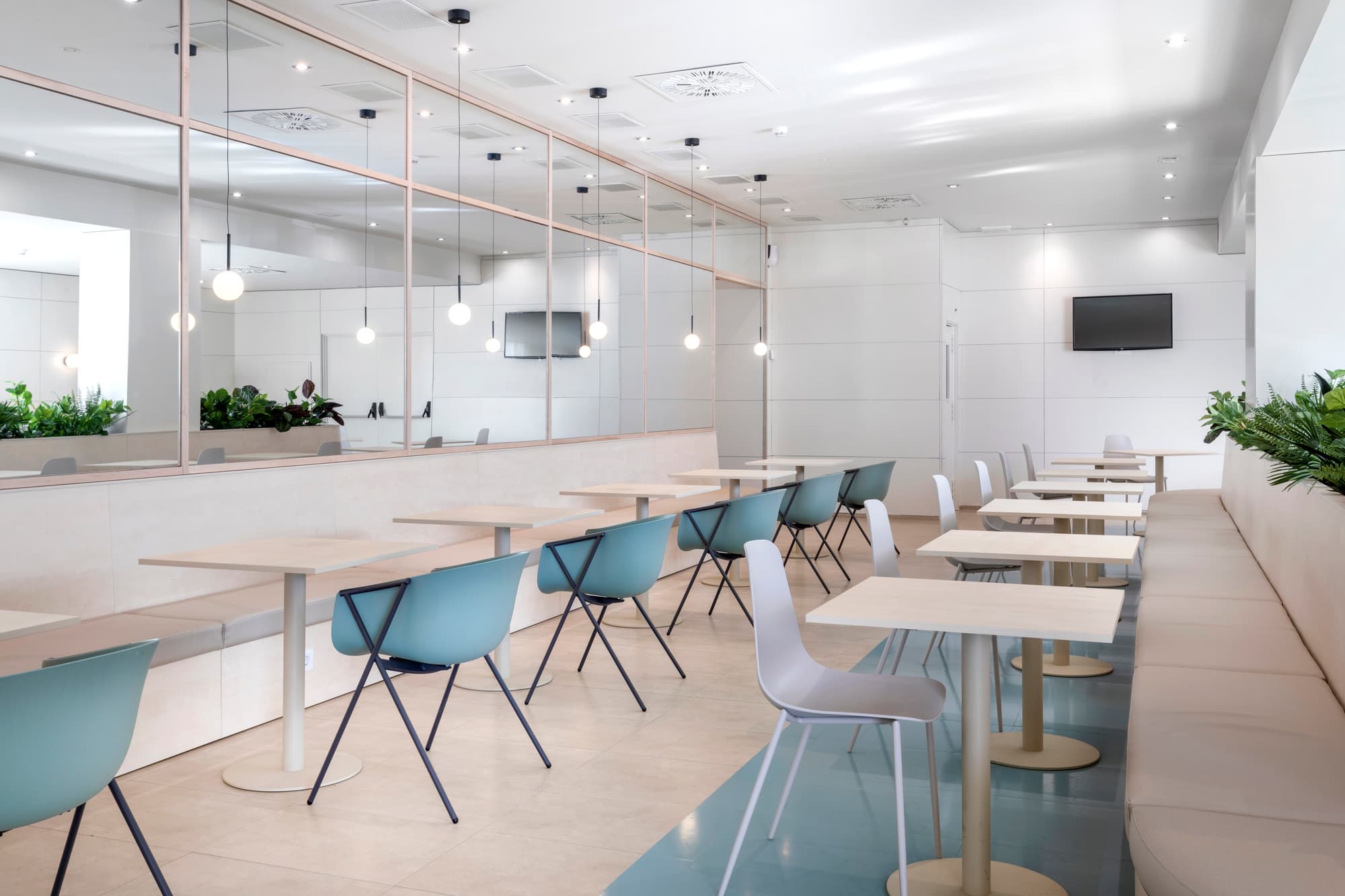 B&B Hotel Elche, General view