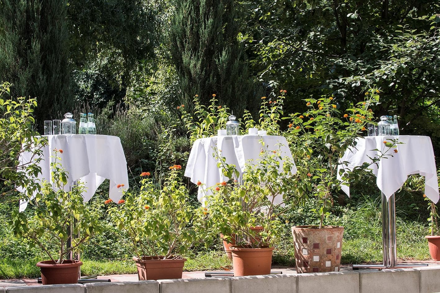 Grenzfall, General view