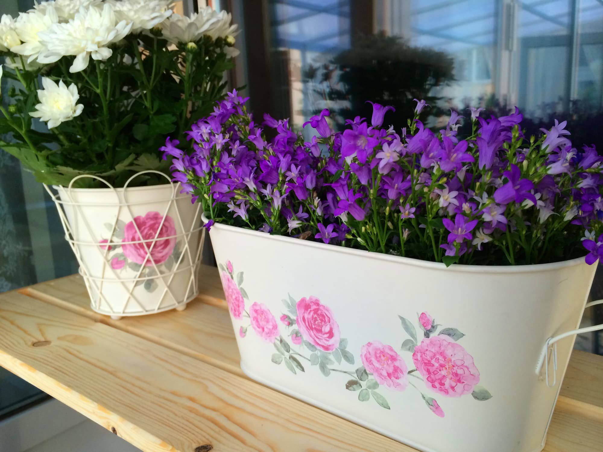 Red Stars Hotel, Terrace