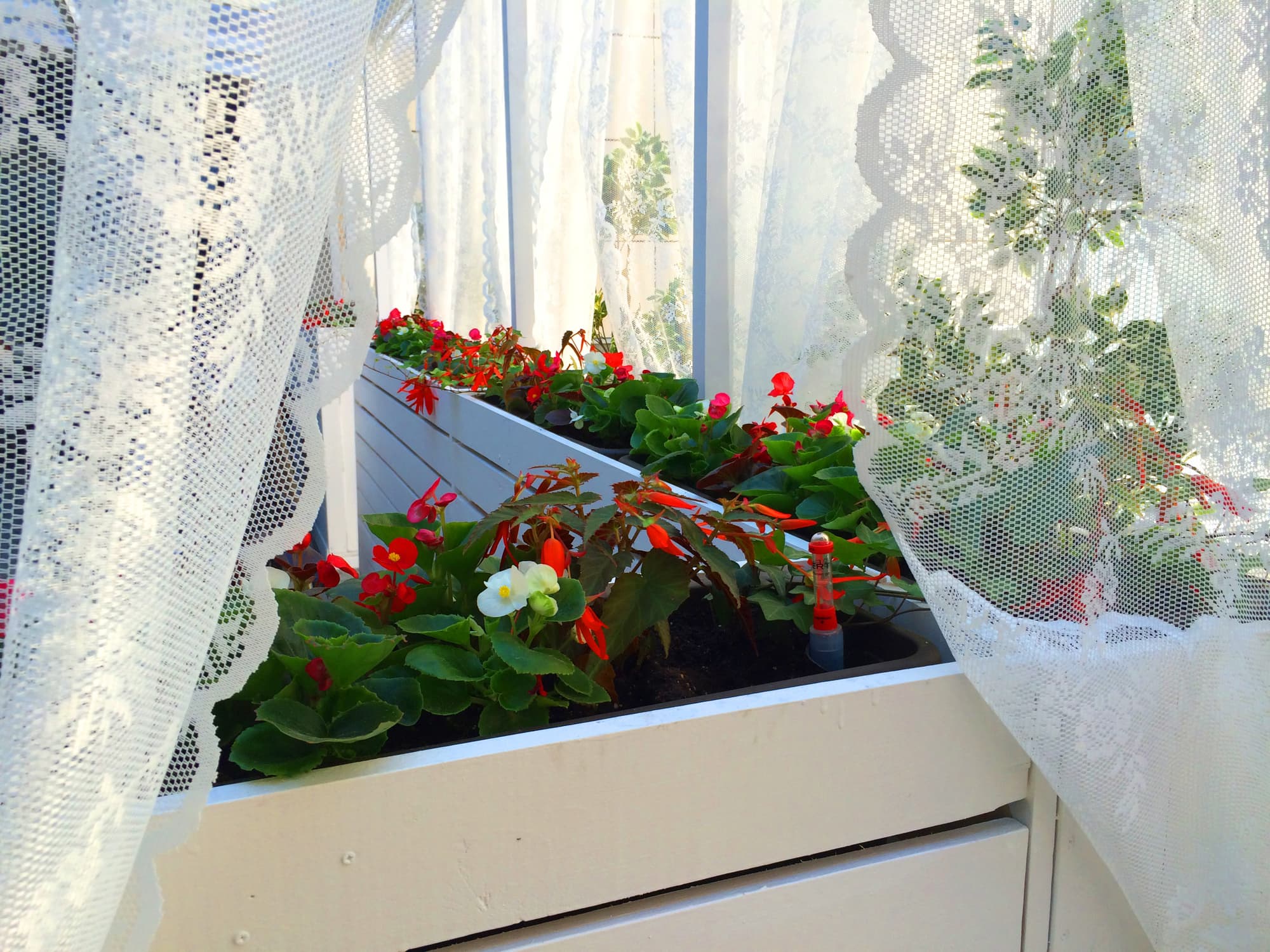 Red Stars Hotel, Terrace