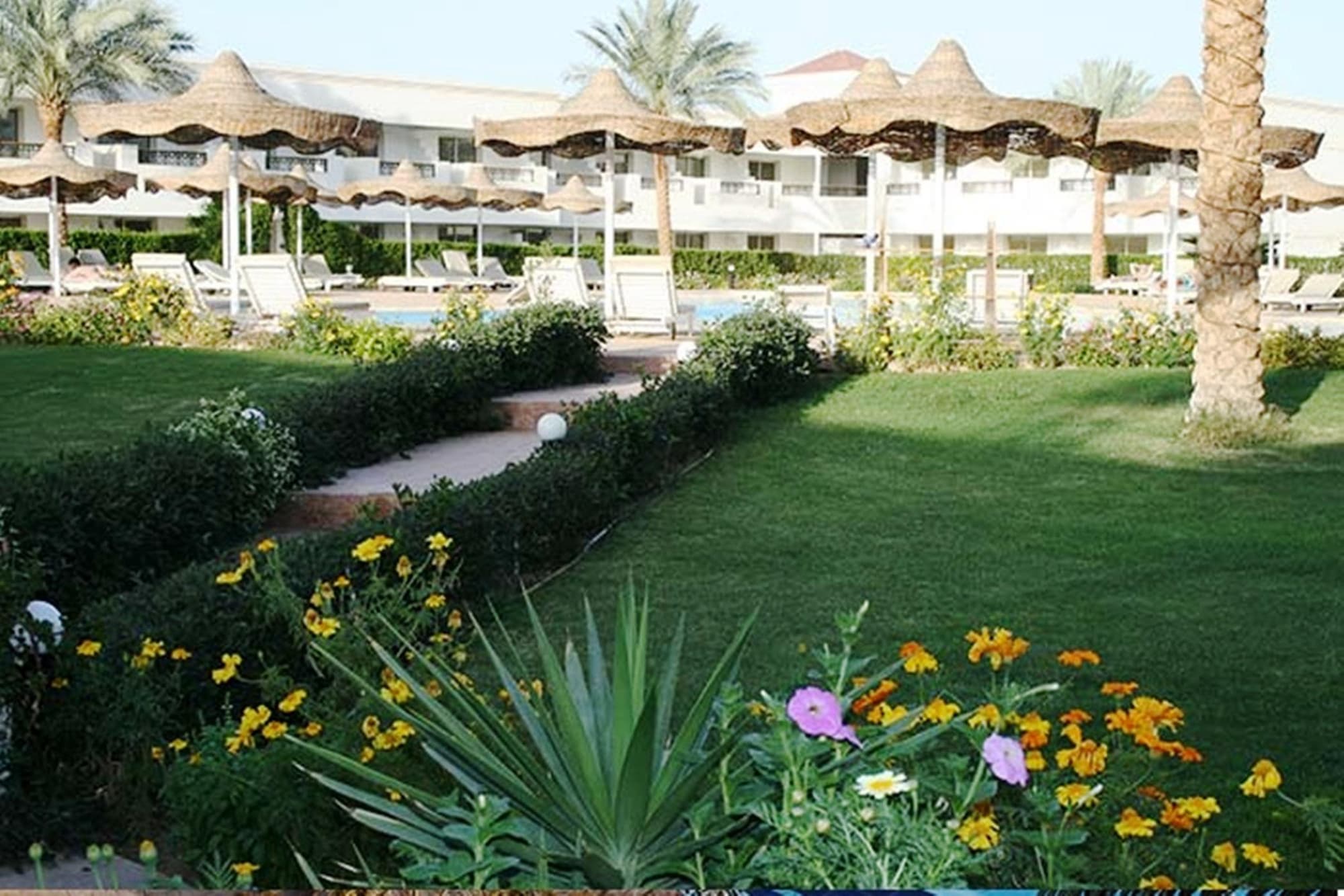 Viva Sharm Hotel, General view