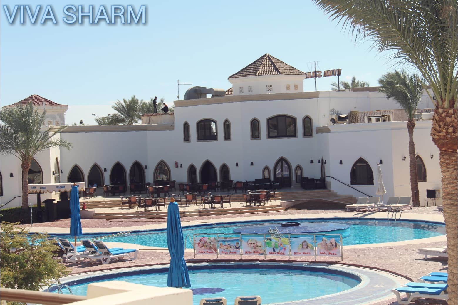 Viva Sharm Hotel, Pool