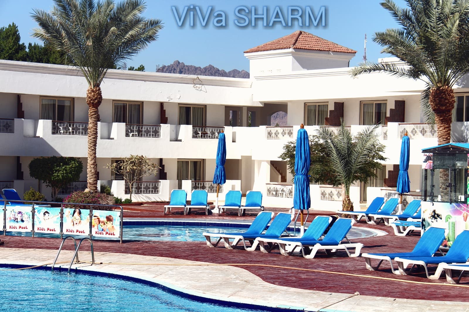 Viva Sharm Hotel, Pool
