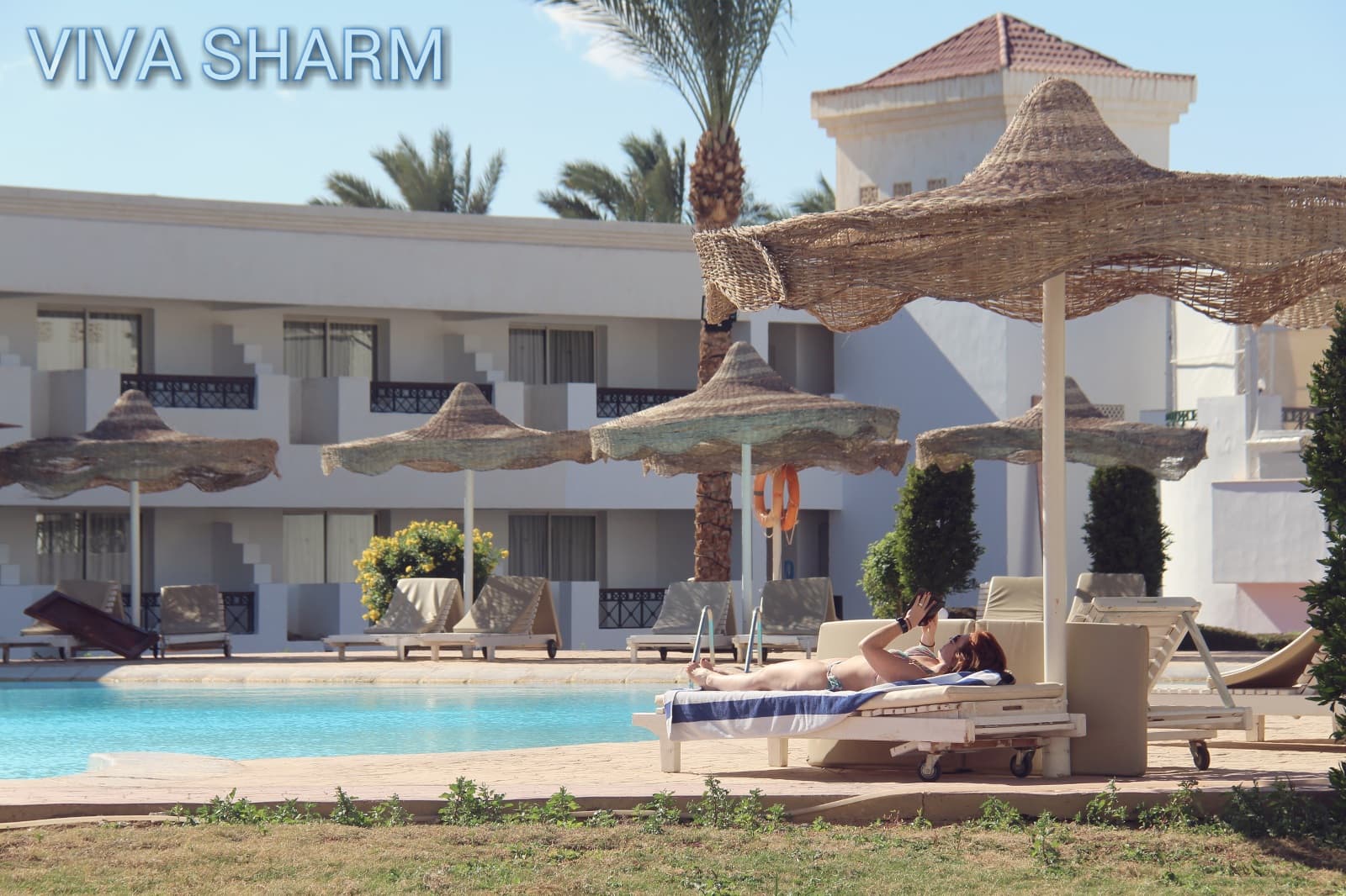 Viva Sharm Hotel, Pool