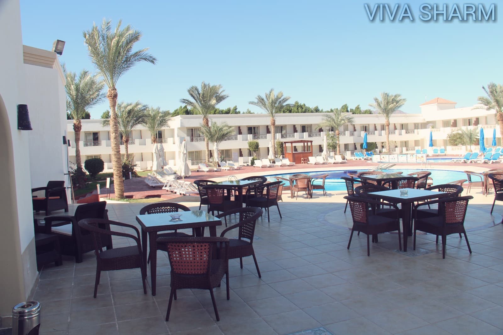 Viva Sharm Hotel, Terrace