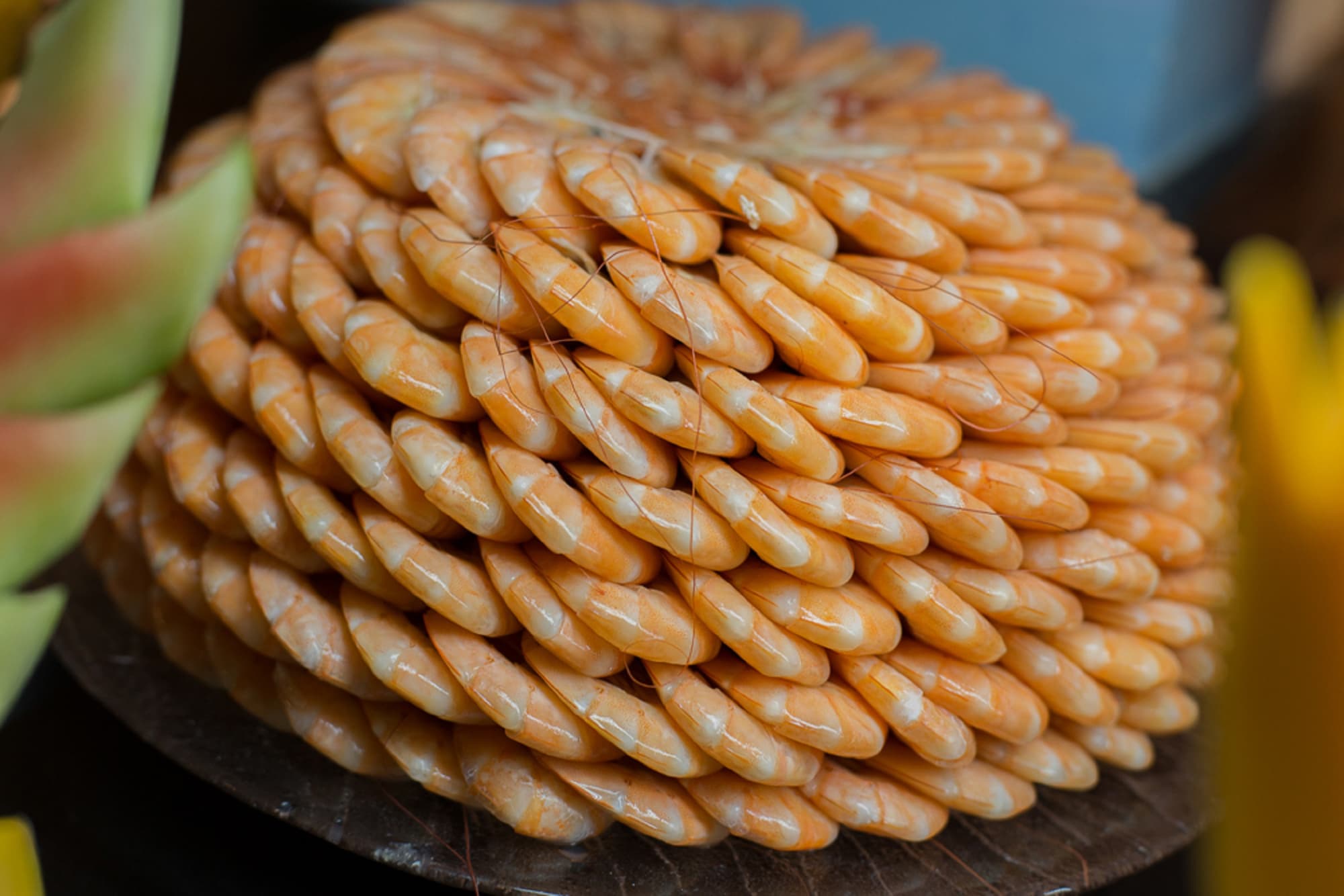 Starfish Cayo Santa Maria - All Inclusive, Restaurant