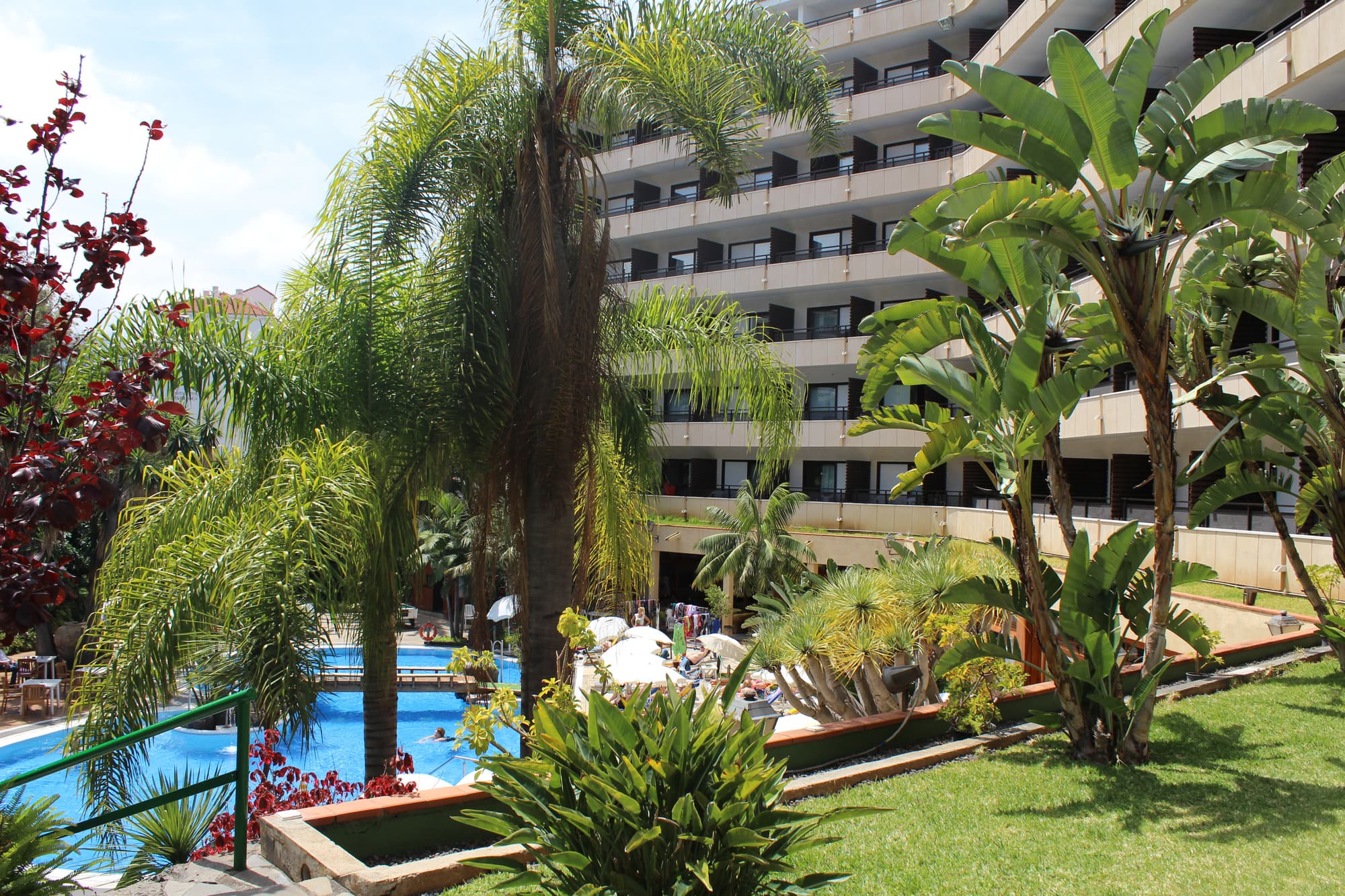 Fergus Puerto de la Cruz, General view