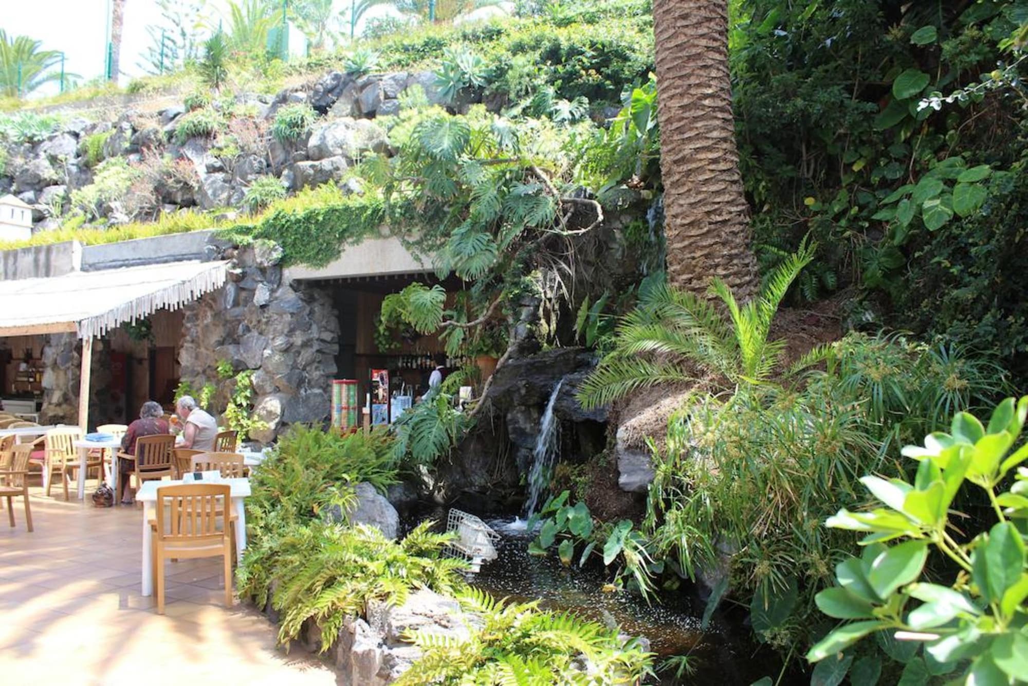 Fergus Puerto de la Cruz, Bar