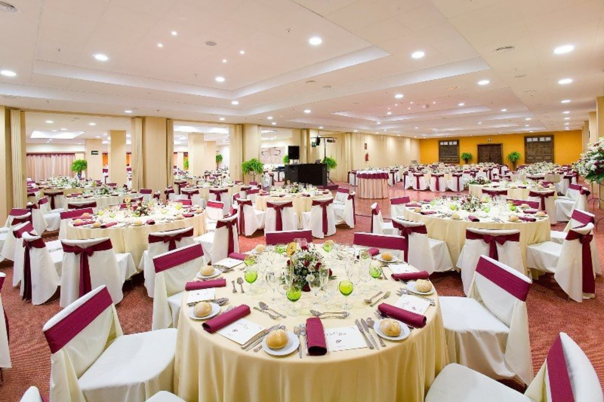 Fergus Puerto de la Cruz, Conferences