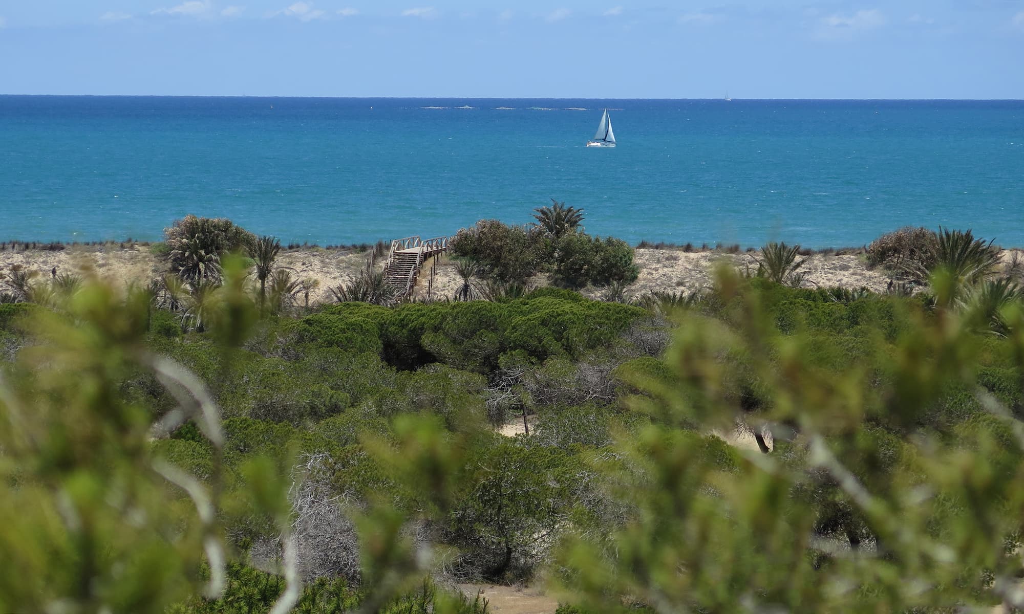 Alannia Guardamar, Beach
