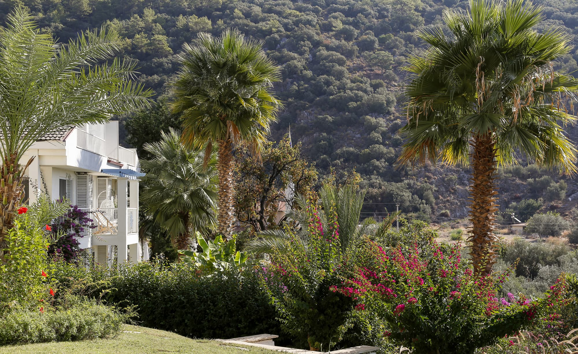 Morina Hotel, General view