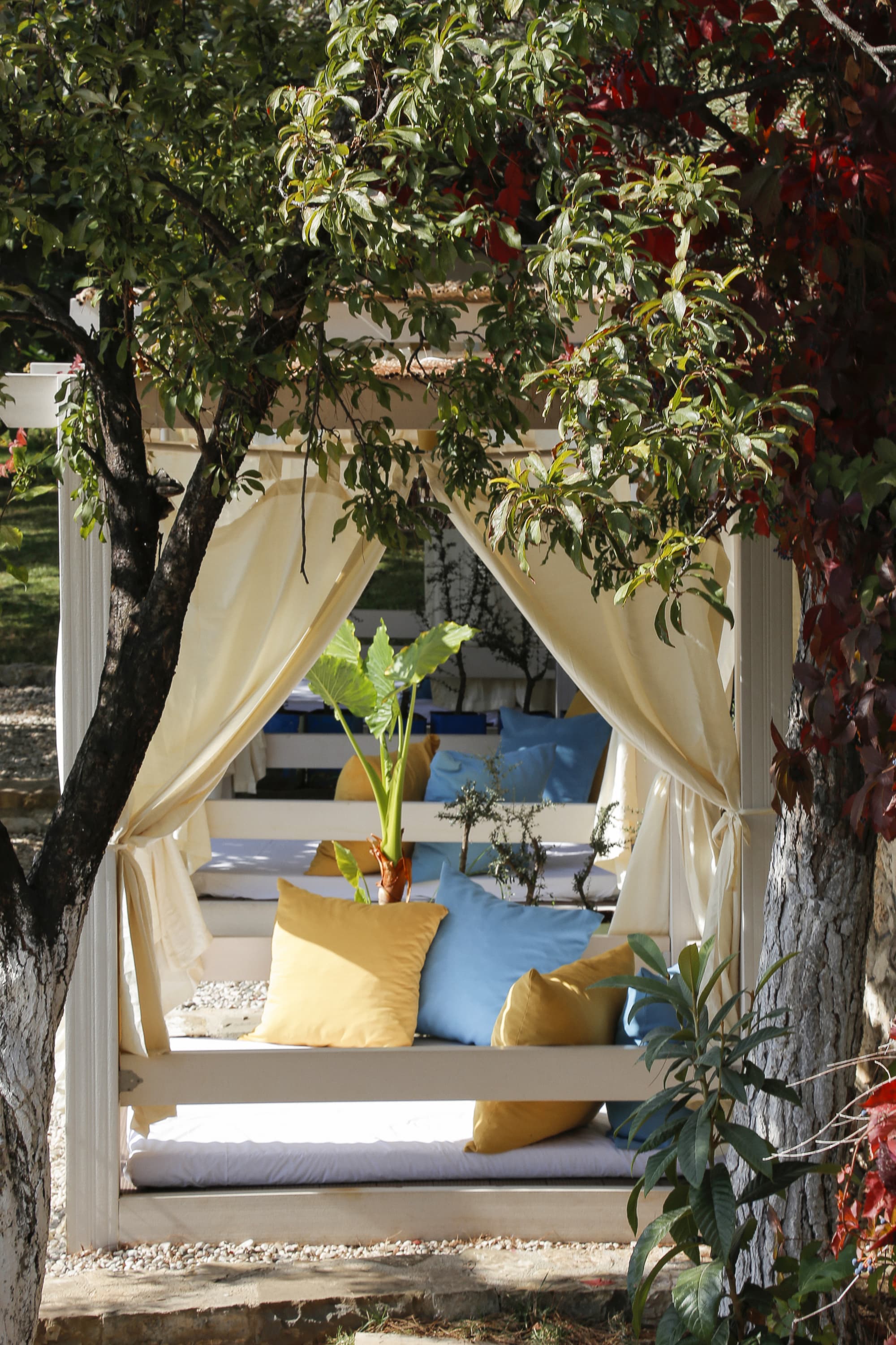 Morina Hotel, General view