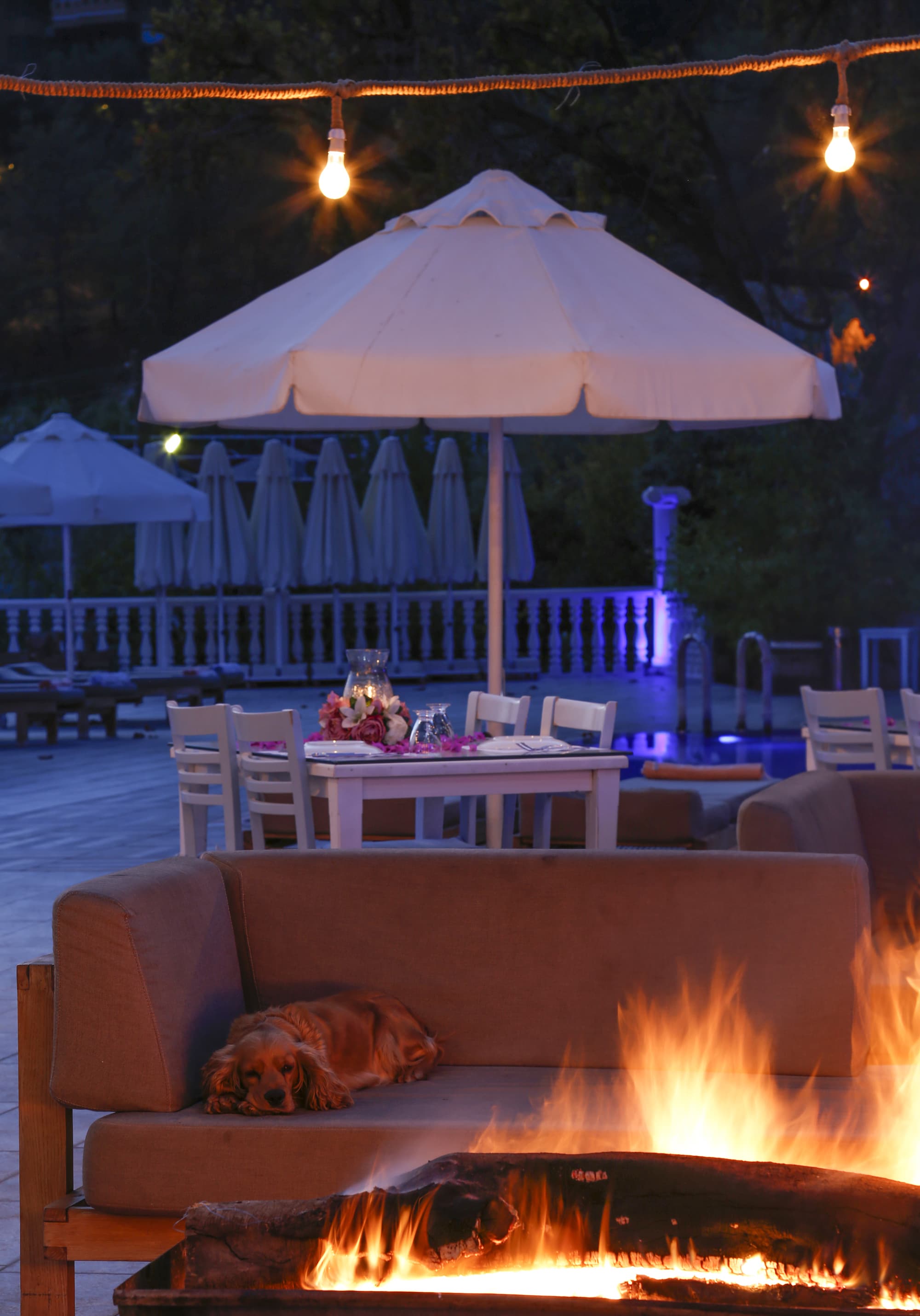 Morina Hotel, General view