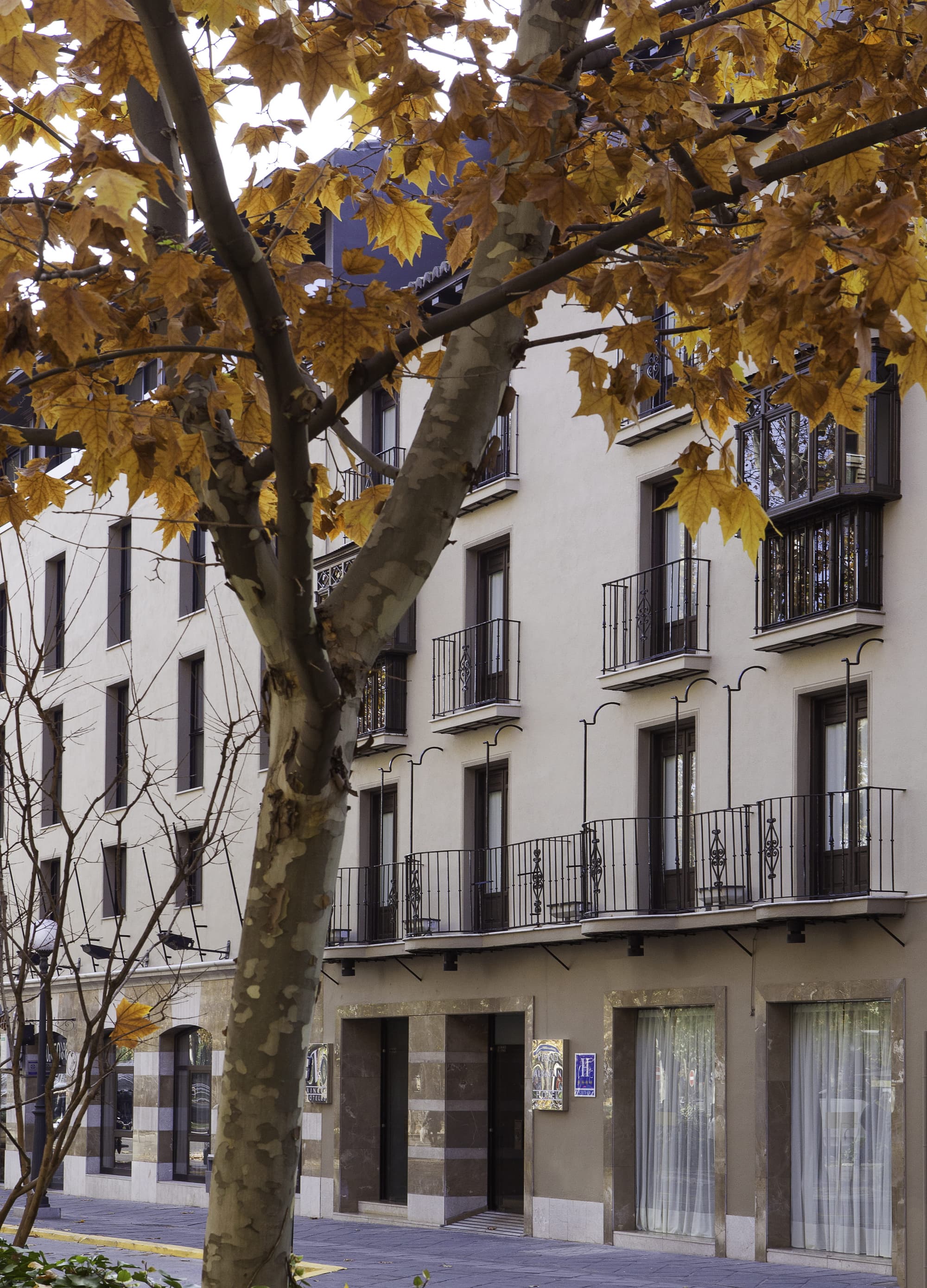 Vincci Albayzin, General view