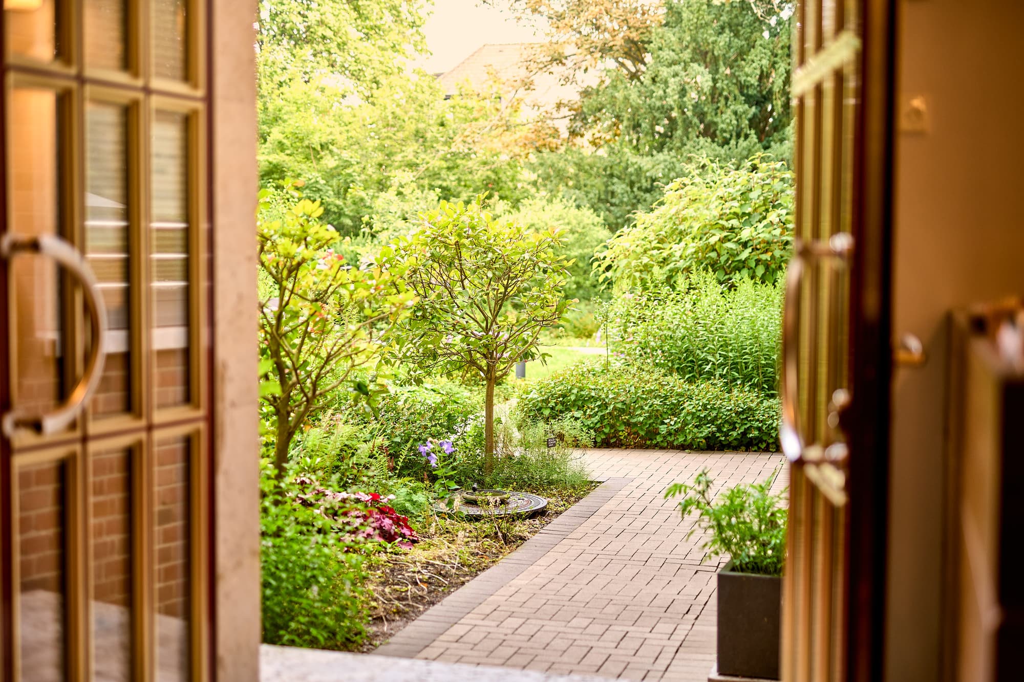 Kocks Hotel am Mühlenberg, Terrace