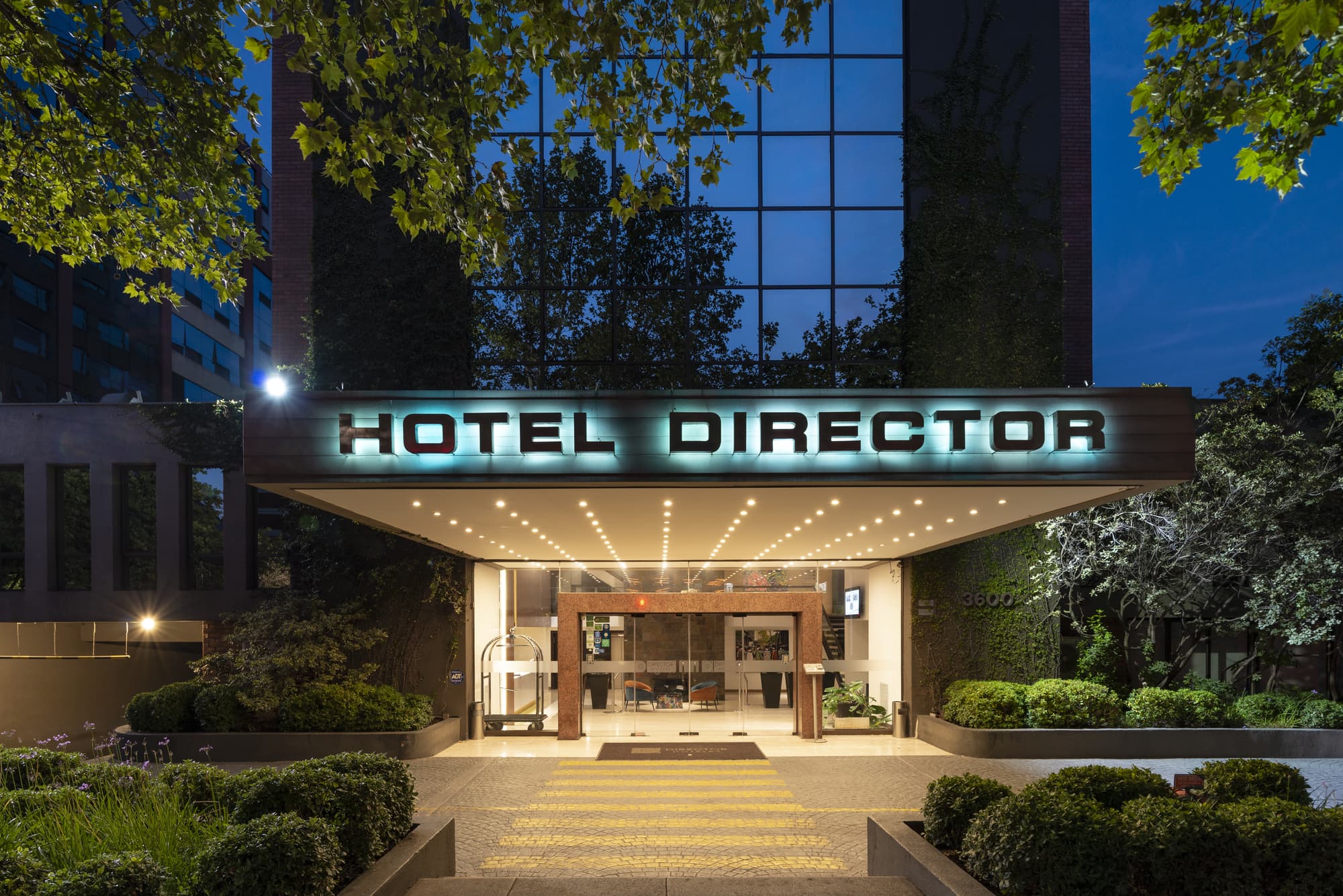 Director Vitacura, General view