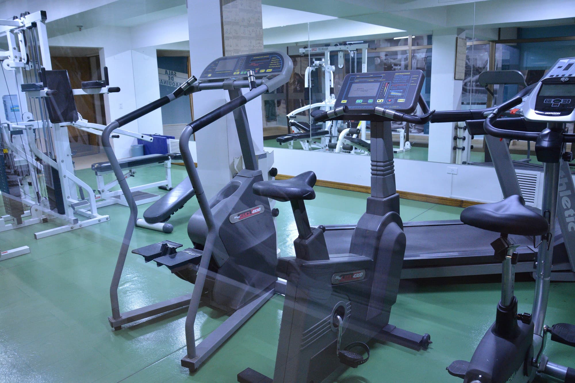 Director Vitacura, Sports and Entertainment