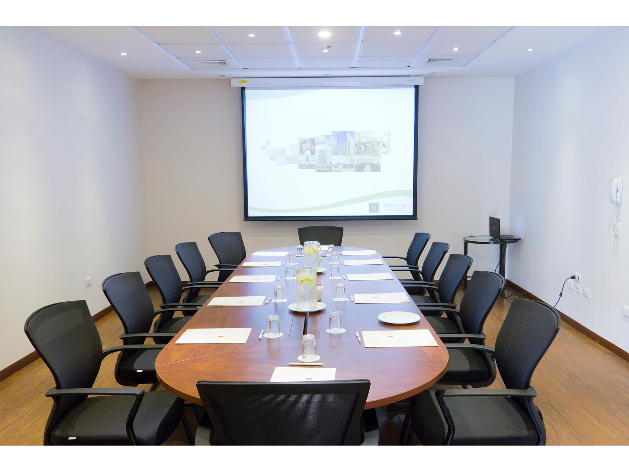 Director Vitacura, Conferences