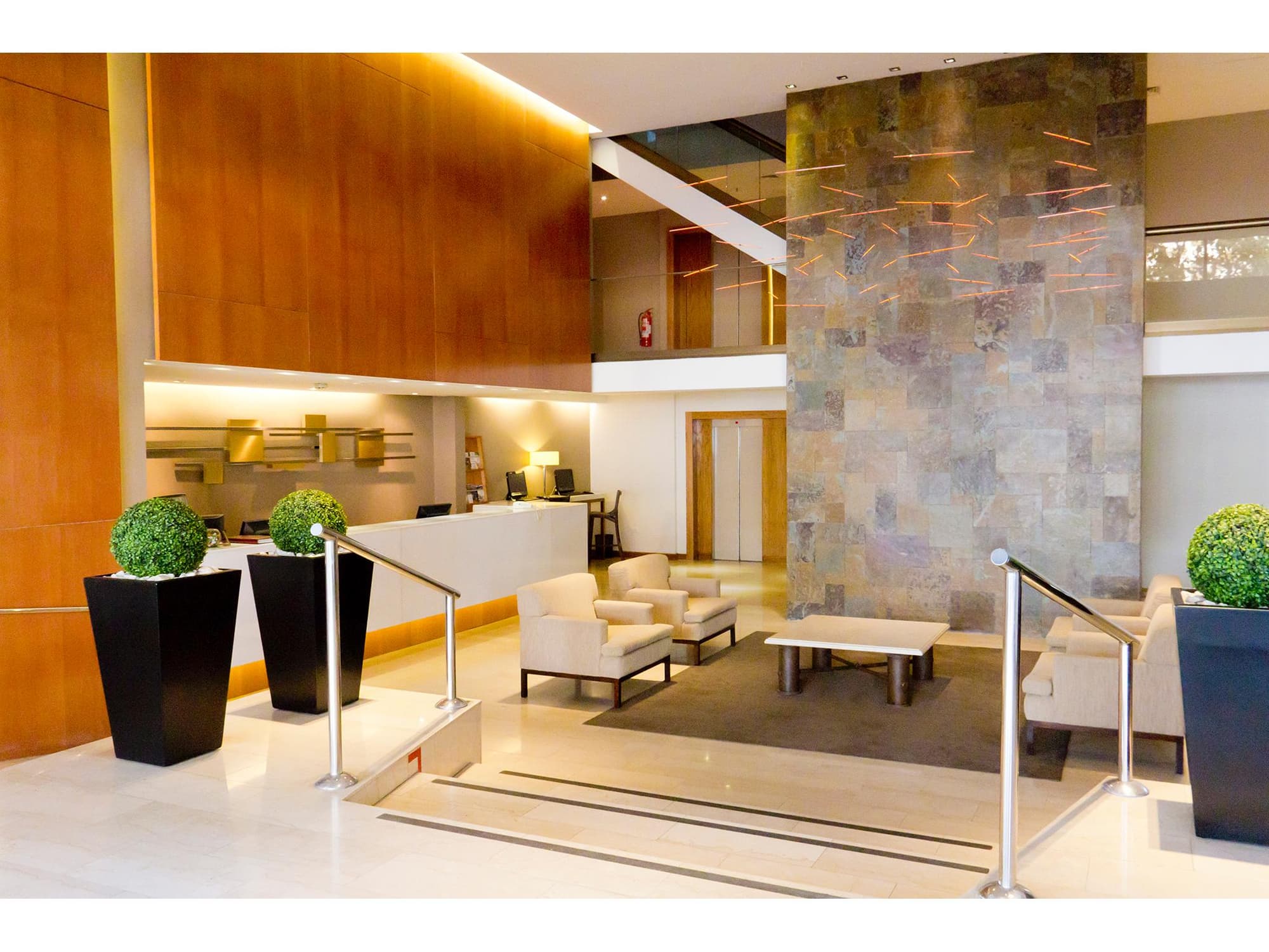 Director Vitacura, Lobby