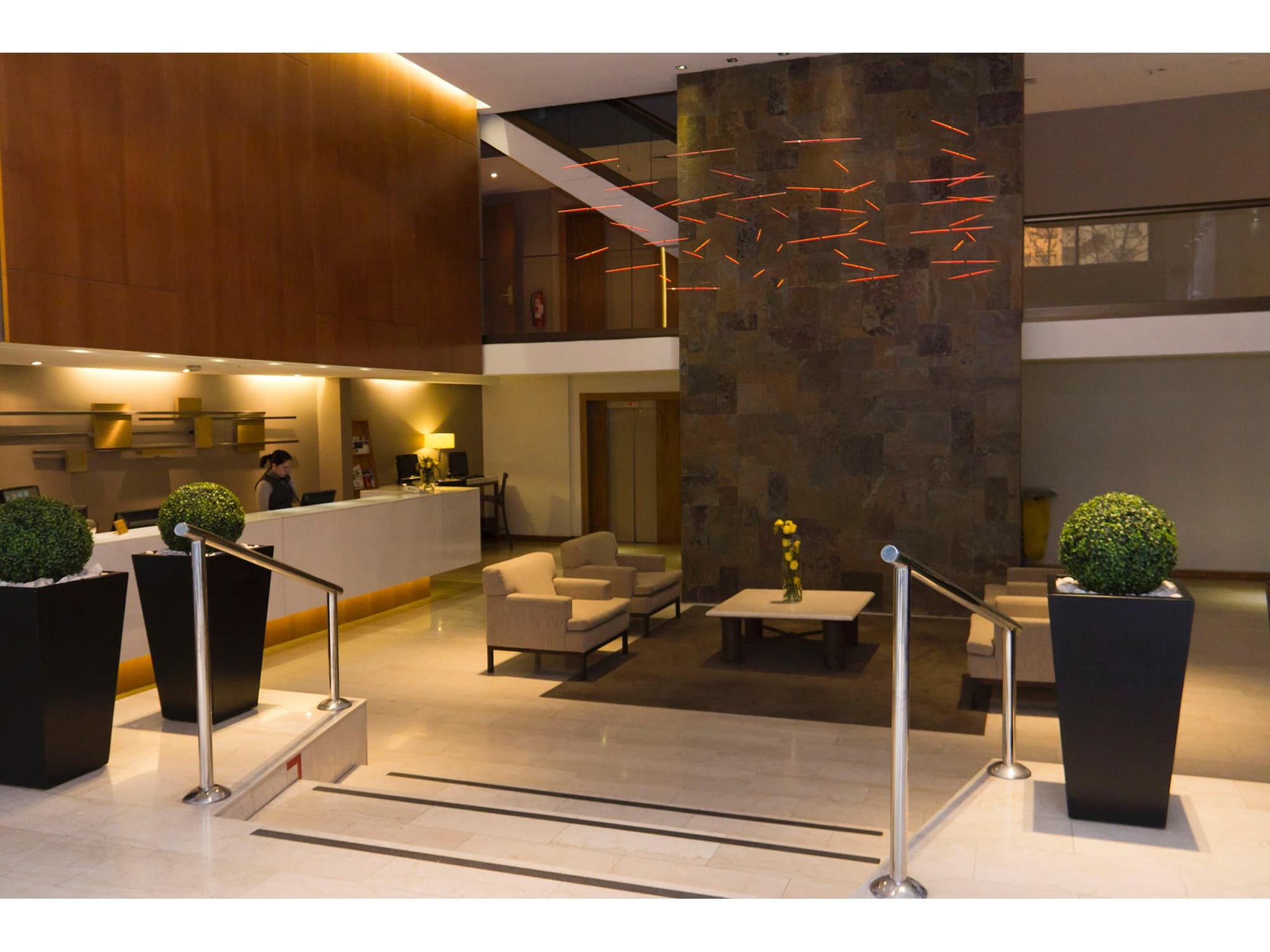 Director Vitacura, Lobby