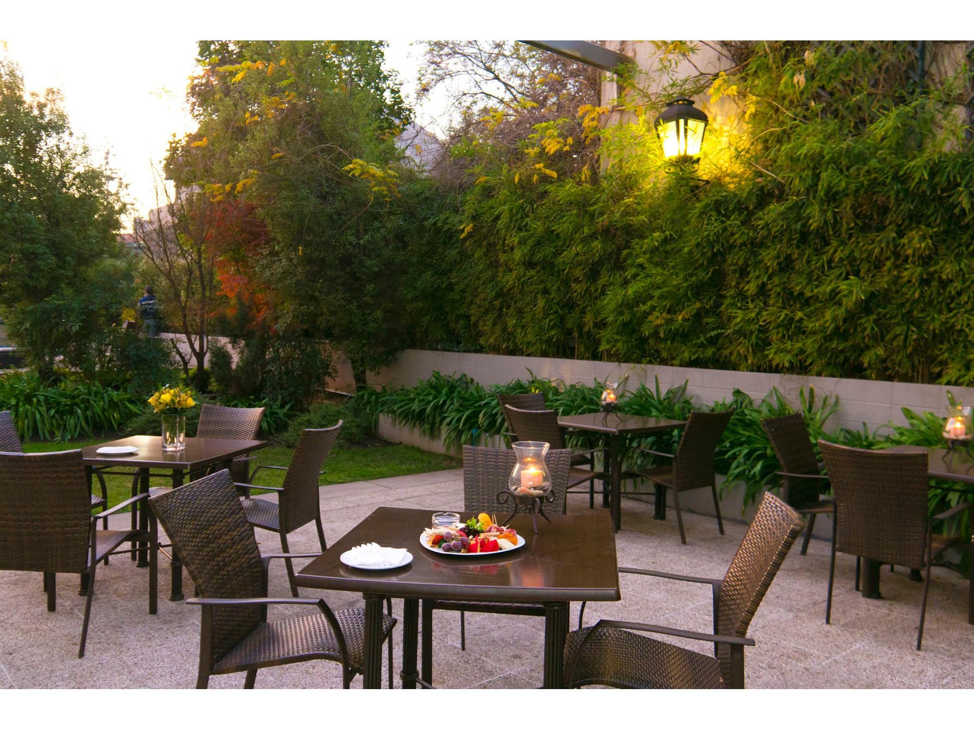 Director Vitacura, Pool